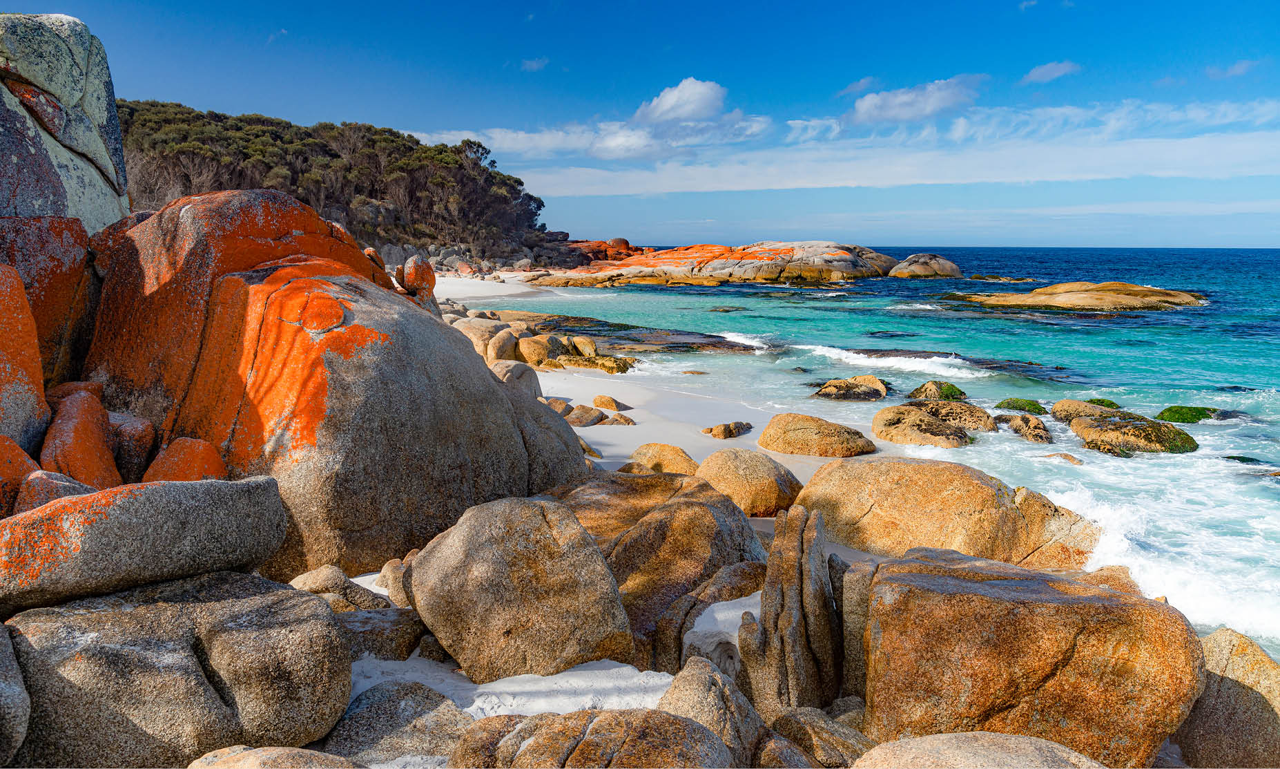 Taste of Tasmania
