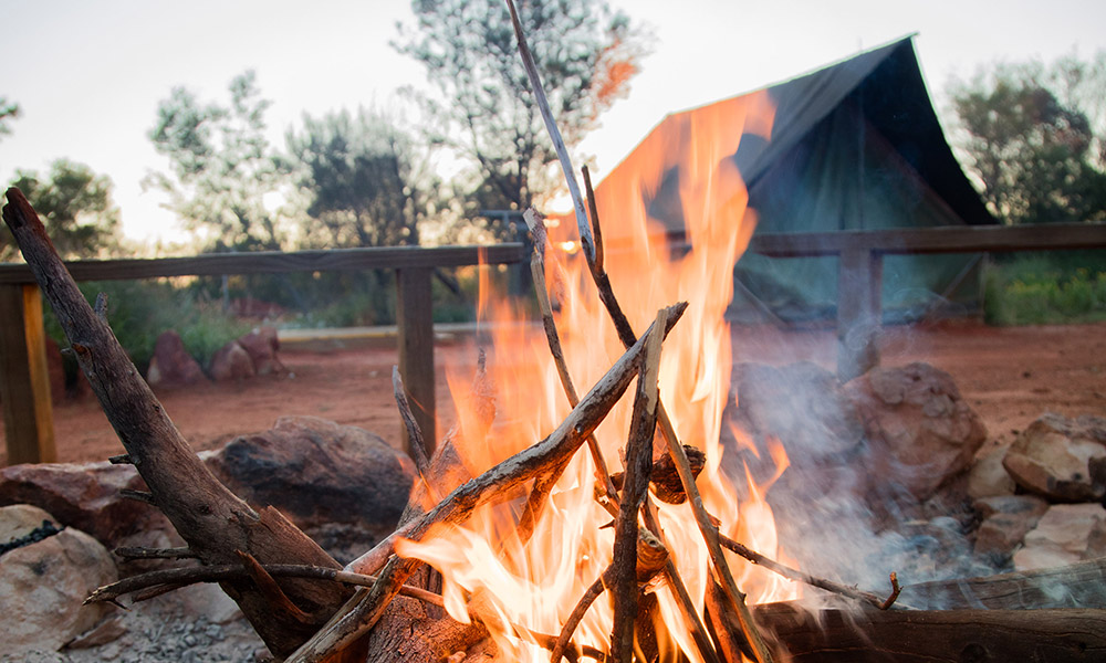 Witness stunning night skies around the campfire