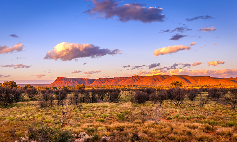 George Gill Ranges