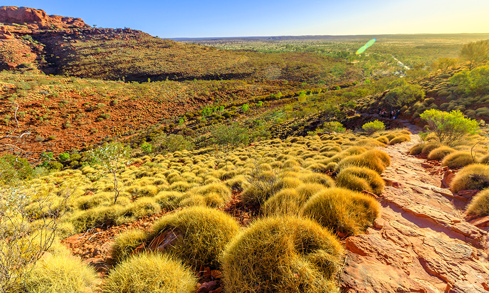 The landscape surrounding Kings Canyon
