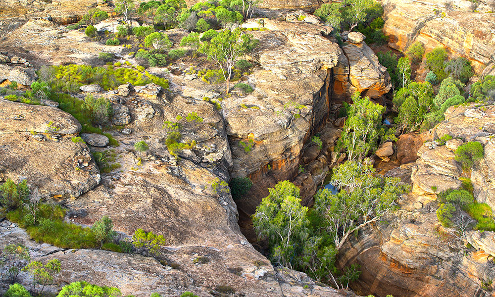Cobbold Gorge