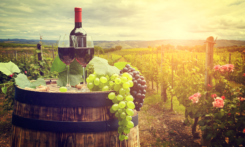 Wine tasting in Tuscany