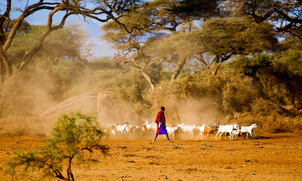 Amboseli National Park
