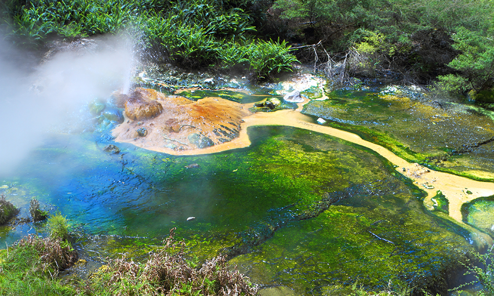 Hot Springs in Rotorua