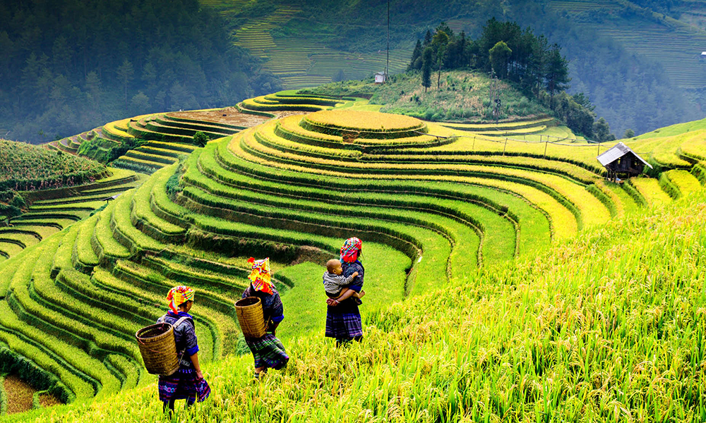 Sapa - Optional Extension Package