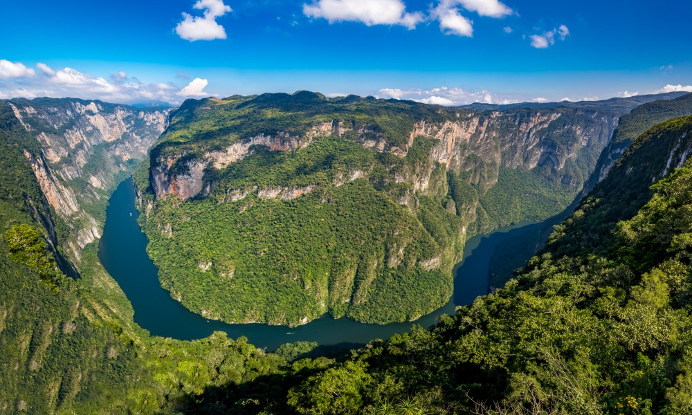 Sumidero Canyon is located in the state of Chiapas, Mexico, and it's home to spider monkeys.