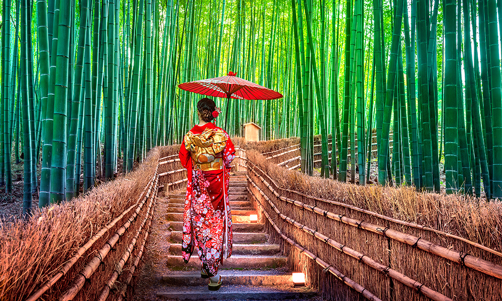 Enjoy time at leisure in Osaka and Kyoto.