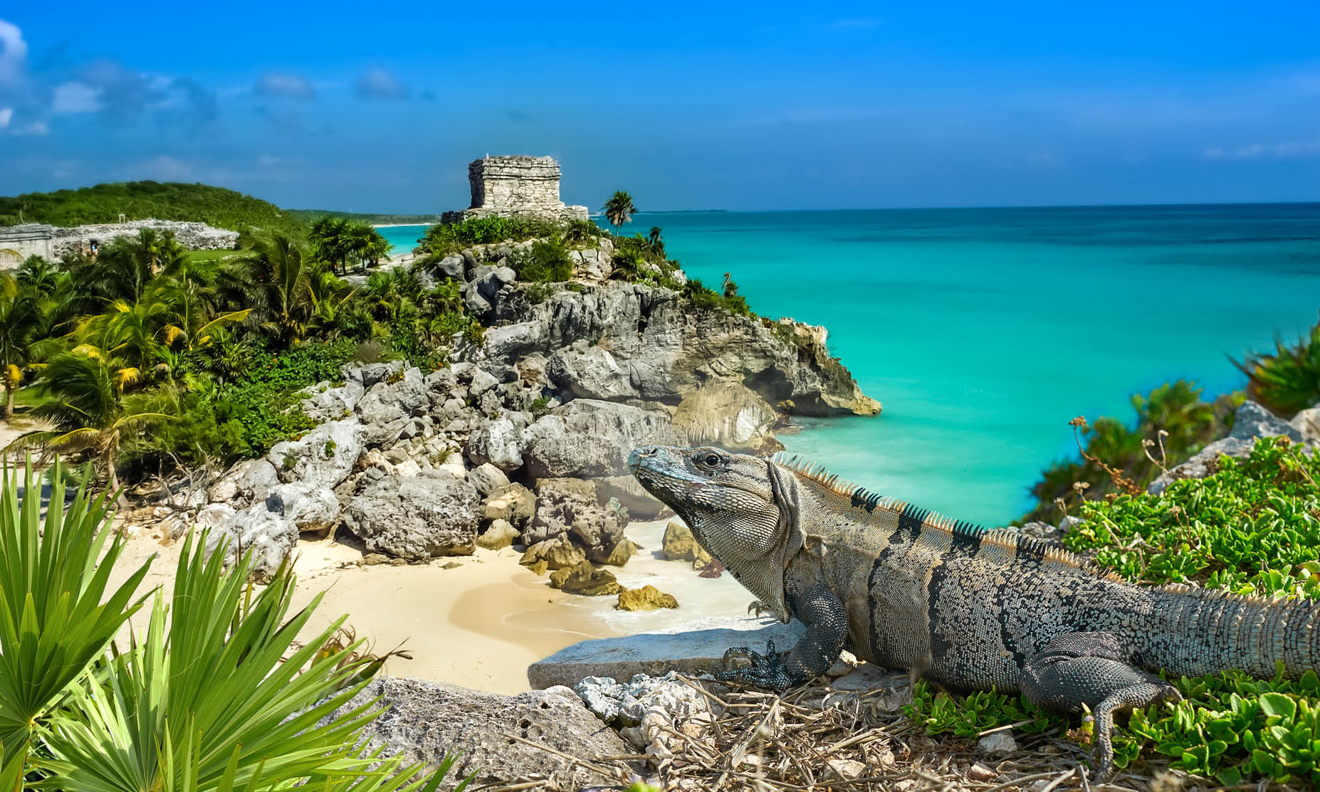 Turquoise blue Caribbean waters mix with ancient Mayan ruins in this fantastic deal.