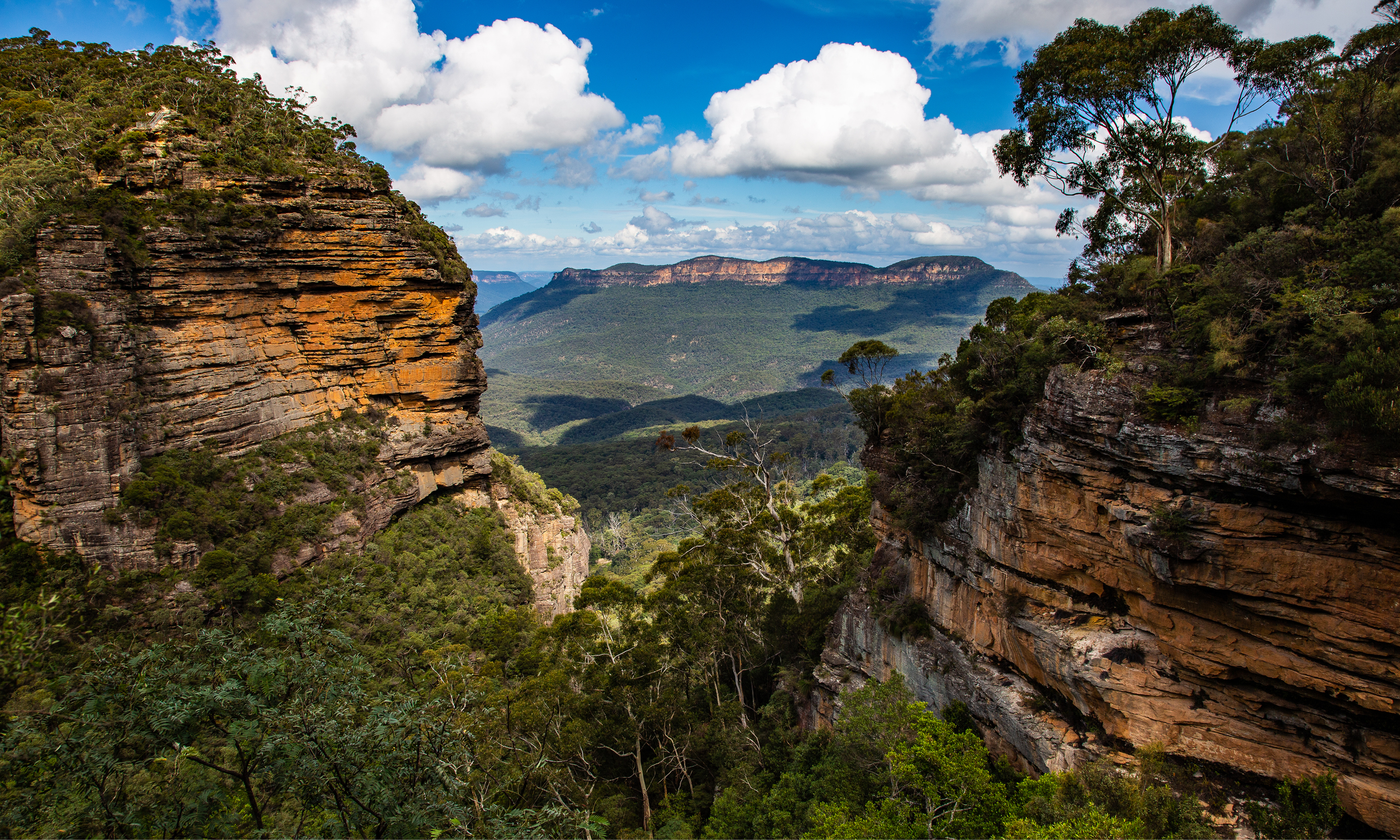 Hotel Blue is the perfect base for exploring the Blue Mountains National Park.