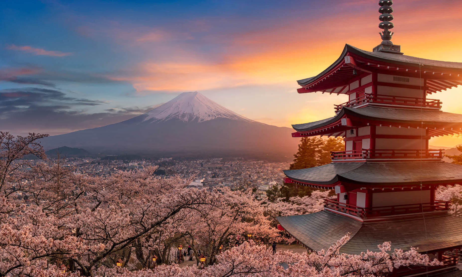 beauty of japan essay