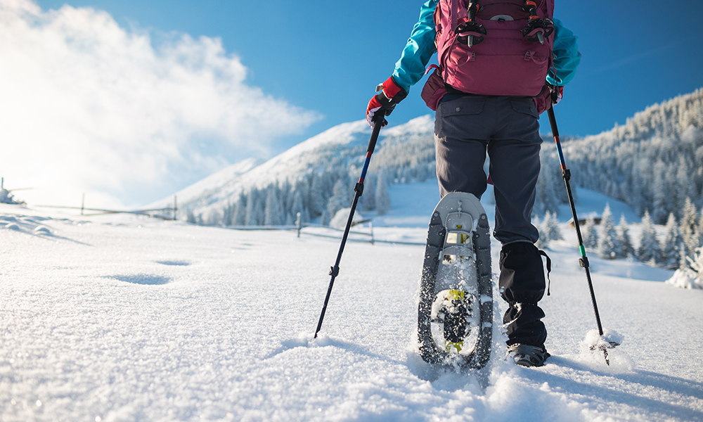 Canada & Northern Lights Winter Experience TripADeal