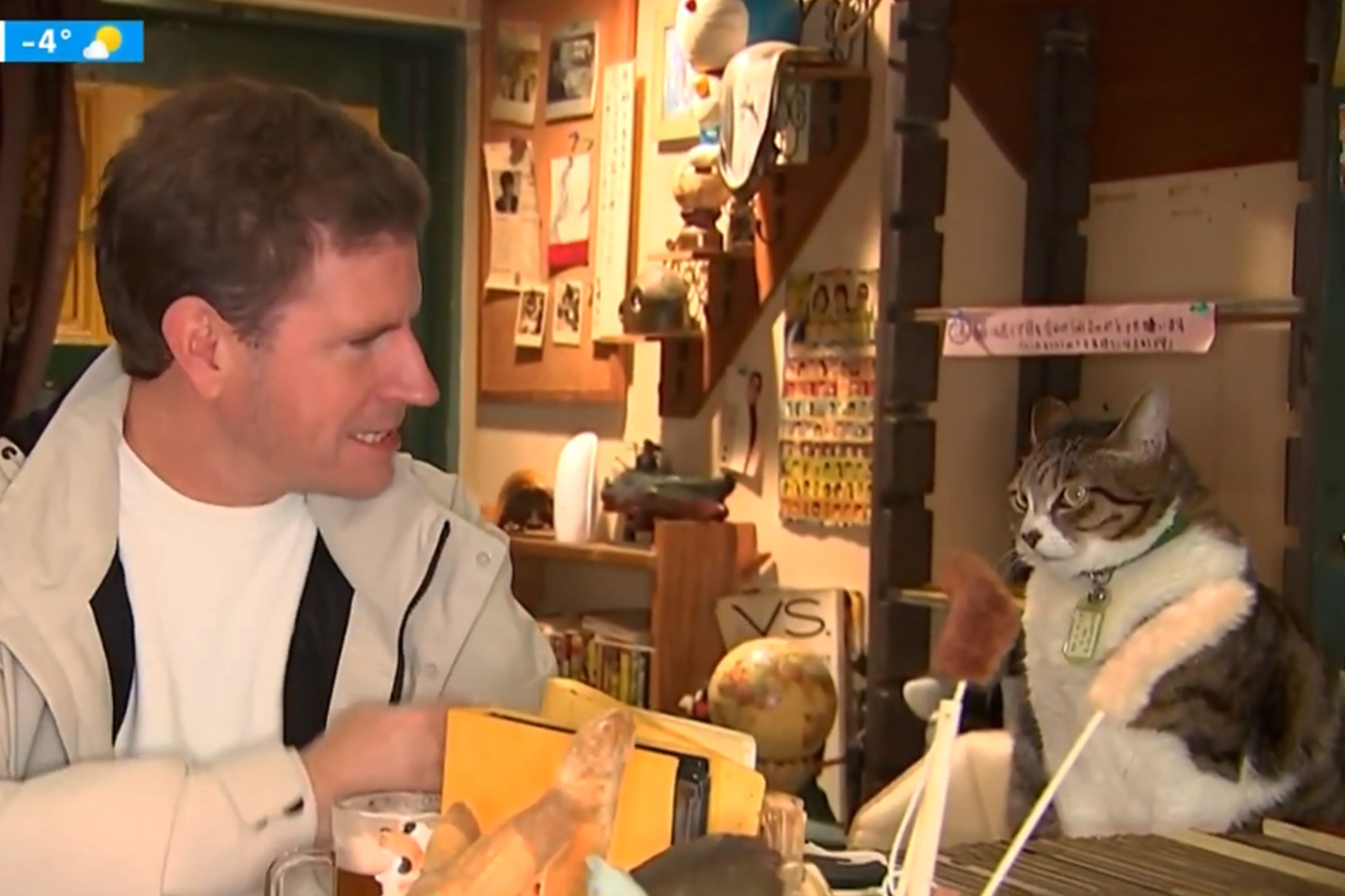 Channel 7's Sam Mac and Suchen the cat at a bar in Tokyo.