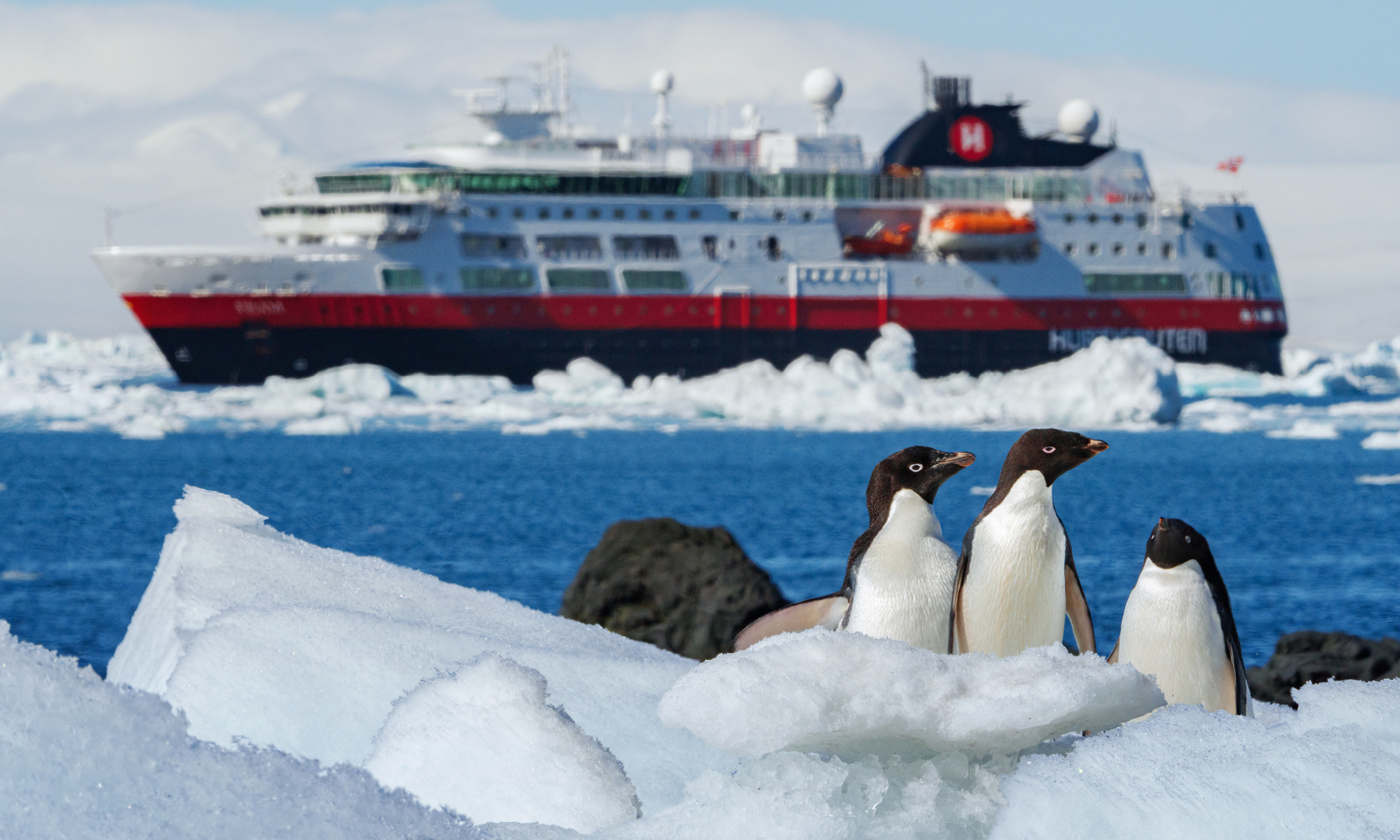 Penguins in front of the Hurtigruten expedition ship MS Fram at Brown Bluff in Antarctica