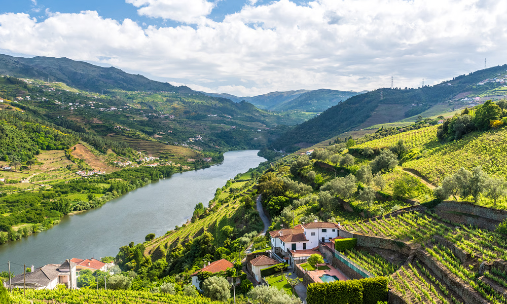 Douro River Valley