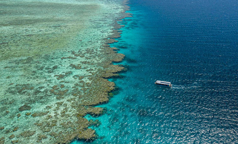 Expedition Cruises