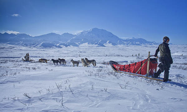 Alaska Travel Deals | TripADeal