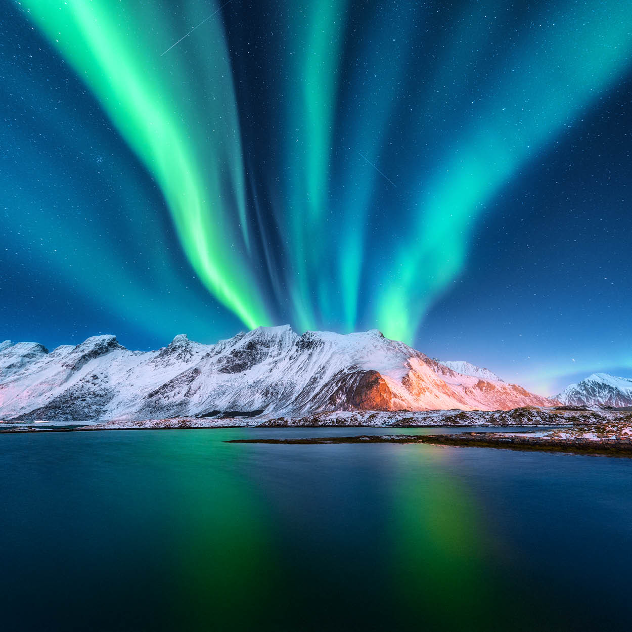 Arctic