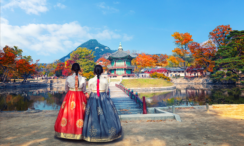 South Korea Travel Deals | TripADeal